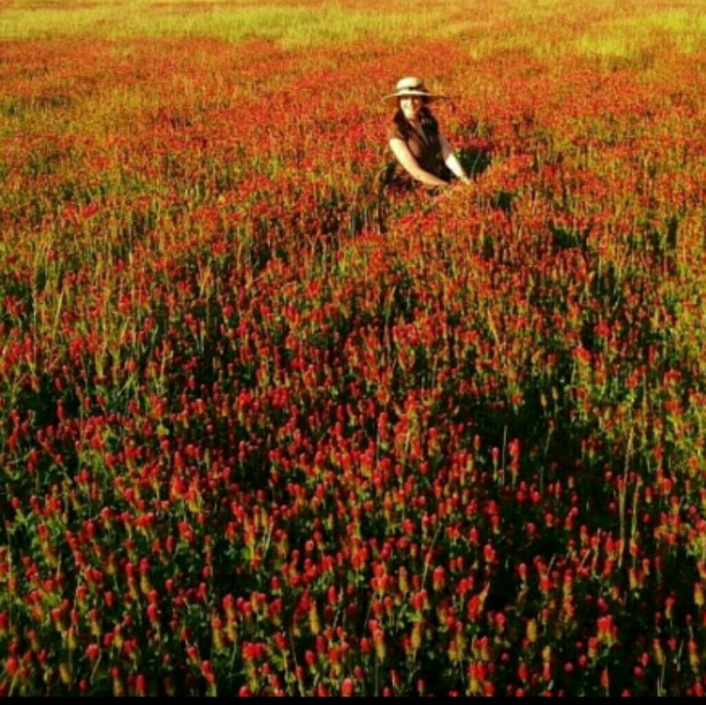 Meet your Posher, Ellabee